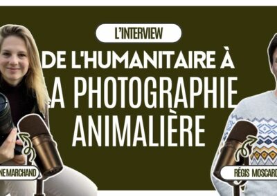 Photographe animalière professionnelle : interview de Gaëtane Marchand